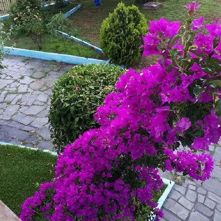Votsala Μόλα Καλύβα